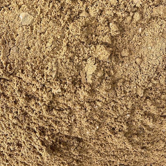 myapp/public_uploads/arena_peña_guztne